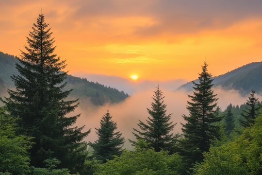 Serene mountain landscape with rising sun illuminating misty valleys and towering pine trees at dawn