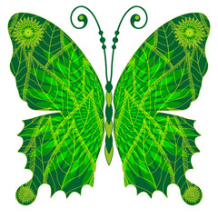 Vector hand drawn vivid butterfly with green pattern isolated on transparent background