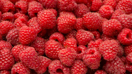 Tasty fresh raspberry as a background.