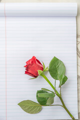 A Red Rose on Lined Paper: A Delicate Symbol of Love and Expression, Still Life Composition with Empty Space for Text, Capturing Romance and Writing in a Minimalist Style
