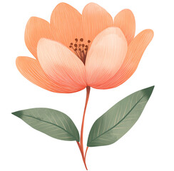 cartoon flower clipart in the style of hand-drawn illustration