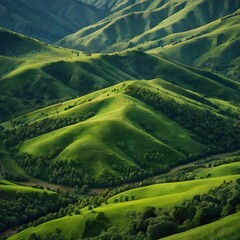 aerial view of green fields