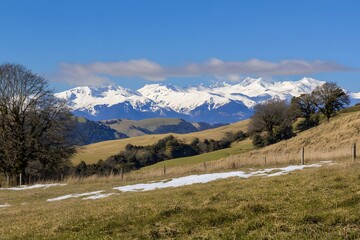 Obraz premium Snowy mountains distant, grassy field foreground, trees, partly clouded blue sky