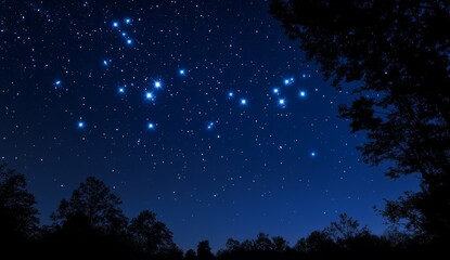 Naklejka premium Starry night sky over trees (1)