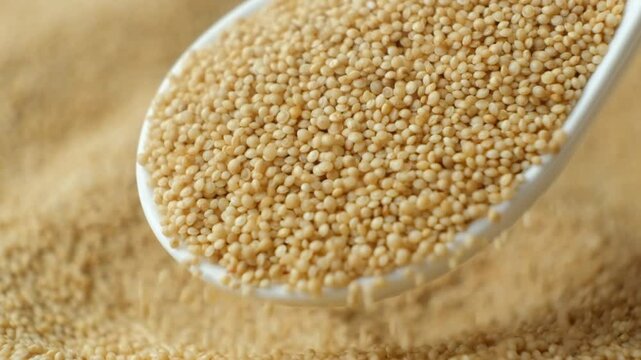 Organic amaranth grains spilling out of spoon slow motion.