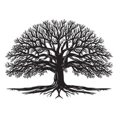 Silhouette vector trees with roots on white background.  