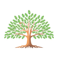 Obraz premium Beautiful green tree vector design, minimalist business logo for tree icon. 