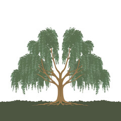 Beautiful green tree vector design, minimalist business logo for tree icon.