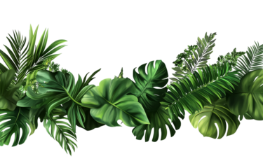 jungle foliage border, in the style of PNG, with a transparent background