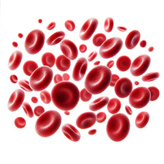 red blood cell. white background.