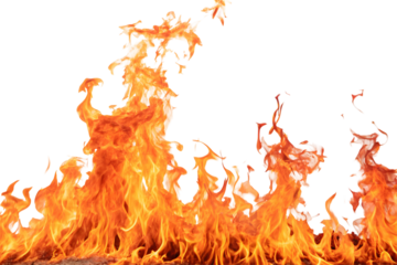 Close-up of fire with dynamic and flickering tongues.