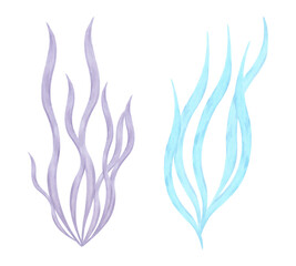 Curved underwater plant, seaweed. Watercolor and marker illustration. Marine botanical algae clipart. Hand drawn isolated art. Ocean flora shape. Suitable for cosmetic design of children's room,guide