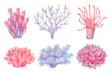 Sea corals set. Colorful ocean coral reefs. Watercolor and marker illustrations. Hand drawn isolated art. Underwater animal of seabed for kids room, shower, guidebook design. Nature ecosystem