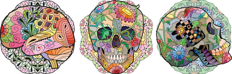 Zentangle stylized brain and skulls on mandalas. Hand drawn decorative vector illustration