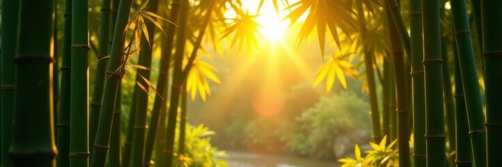 Golden sunlight streams through tall bamboo and sugarcane stalks , growth, woods, stalks