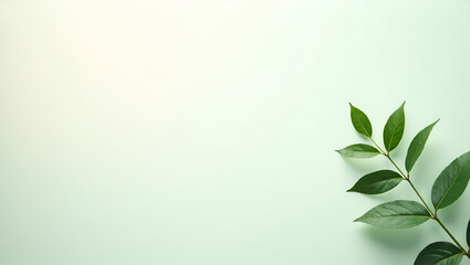 Explore a minimalist corporate layout showcasing sustainable commodities trading, emphasizing responsible sourcing and eco-friendly operations.