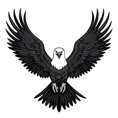 Obraz premium eagle in flight