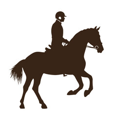 horse and rider