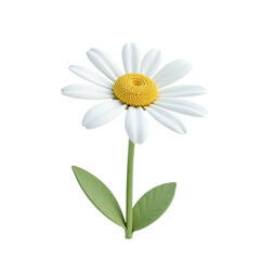 Fototapeta premium 3D rendering of a single white daisy flower with yellow center, isolated on black background. Perfect for spring or summer designs.