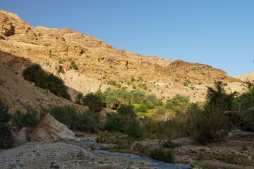 Wadi Bin Hammad's Enchanting Oasis: A verdant valley in Jordan, where a river flows amidst sandstone cliffs and lush vegetation, one of the country's most beautiful wadis.