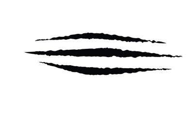 Animal scratch isolated on the white background. Tiger claw mark.