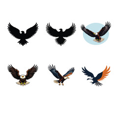 Obraz premium Set of Bald Eagle Silhouette Vector Illustrations.