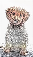A puppy dog in the park has a ribbon on its neck