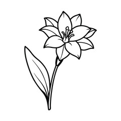 Single Line Drawing of a Beautiful Lily Flower Blossom