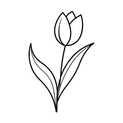 Simple Line Drawing of a Single Tulip Flower Bloom