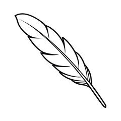 Obraz premium Single Bird Feather Outline, Black Ink Drawing, Quill, Nature