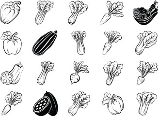 Vegetable Svg Bundle