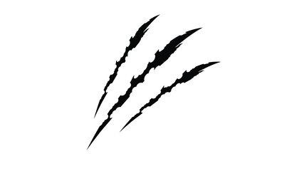 Scratch isolated on the white background.Scratch illustration.