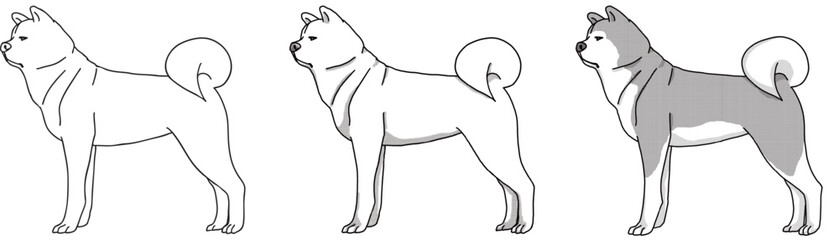 秋田犬　akita　犬のイラスト　塗り絵