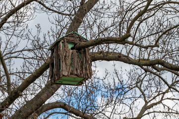 a rustic birdhouse hanging in a bare tree