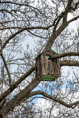a rustic birdhouse hanging in a bare tree