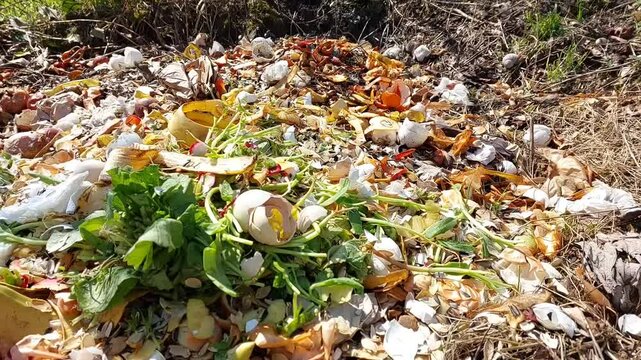 Food Waste Dump Site, Small Composting Pit, Organic Waste Disposal, Biodegradable Trash Area, Natural Decomposition Process