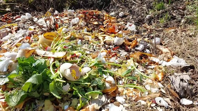 Food Waste Dump Site, Small Composting Pit, Organic Waste Disposal, Biodegradable Trash Area, Natural Decomposition Process