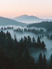 Serene and tranquil top view of a misty forest landscape illustrating a peaceful atmosphere with natural greenery and blur