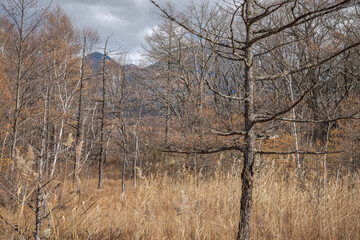奥日光晩秋の風景
