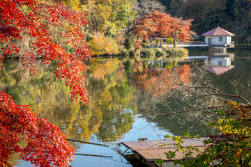 埼玉県円良田湖の景色
