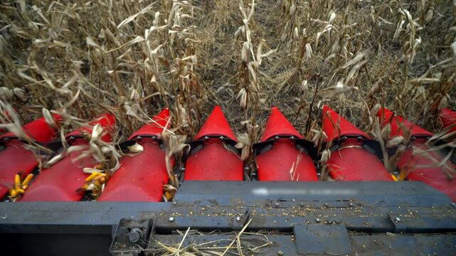 Modern Corn Harvester Header in Action