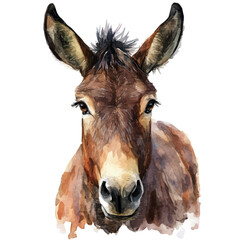 A watercolor vector of a mule, isolated on a white background. Mule vector.

