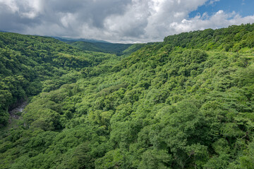 Obraz premium 八ヶ岳高原大橋から観る川俣川渓谷の風景 