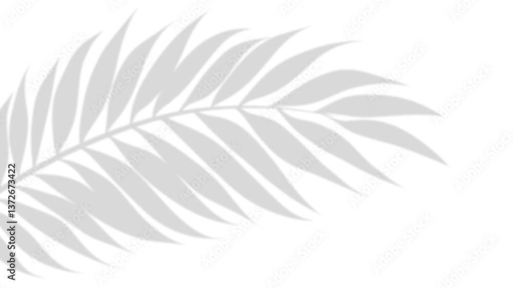 Poster shadow of nature: a delicate display of a palm leaf's shadow, casting a subtle and organic pattern.