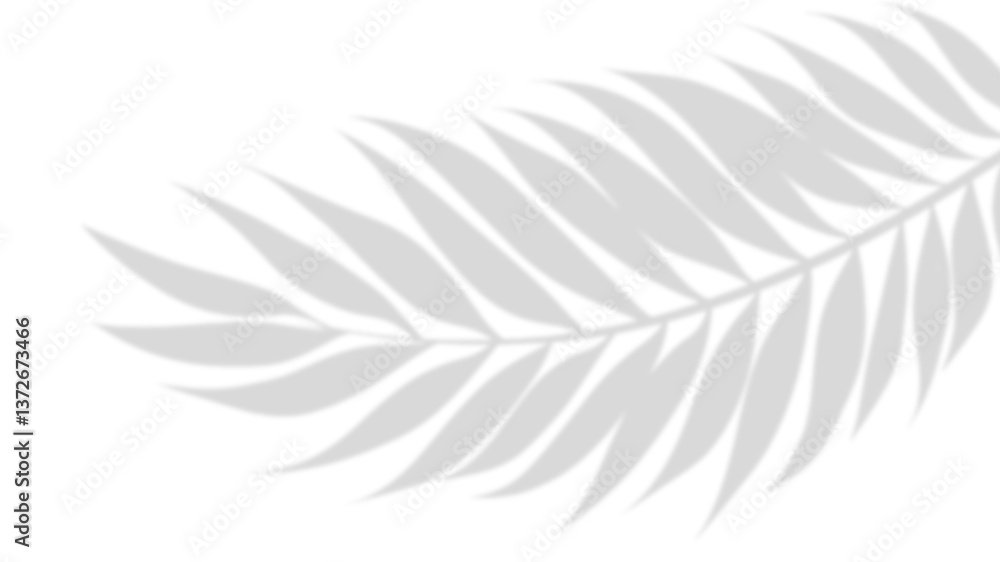 Poster palm shadow on surface: capturing the delicate shadow of a palm leaf gracefully cast upon a surface,