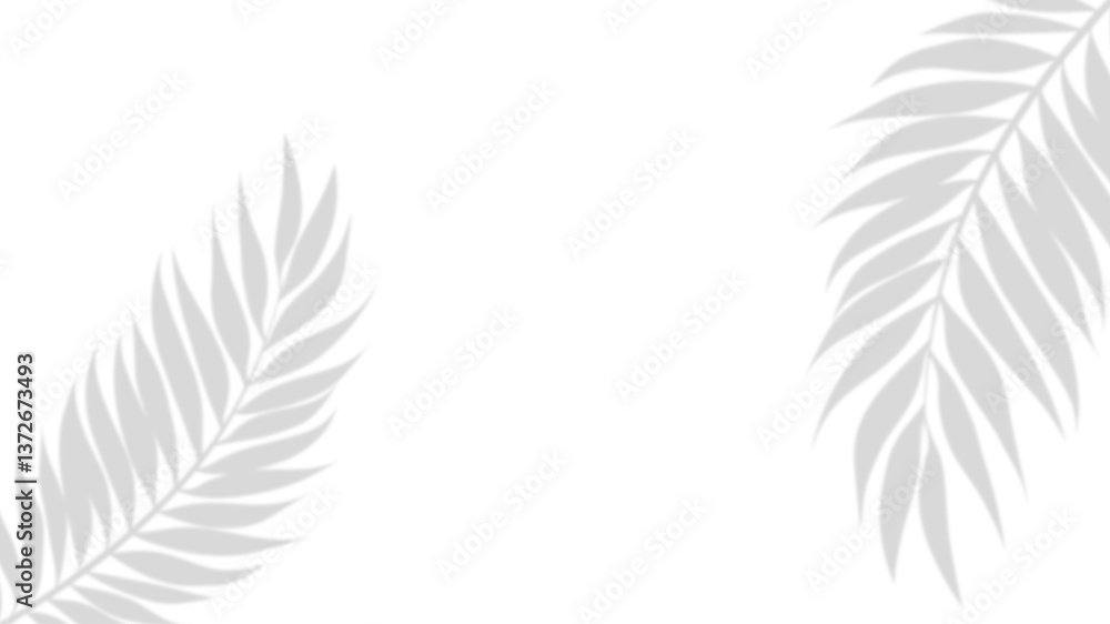 Poster tropical shadows: gentle shadows of palm leaves create a minimalist and refreshing composition, perf