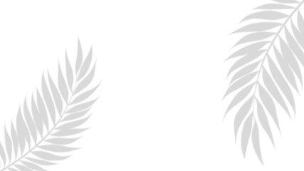 Tropical Shadows: Gentle shadows of palm leaves create a minimalist and refreshing composition, perfect for conveying a sense of tropical tranquility and design