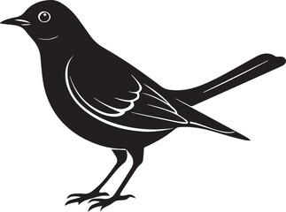 Obraz premium vector illustration of a bird, bird vector isolated on white background full body