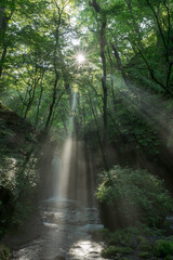 Obraz premium 軽井沢の竜返しの滝と光芒 