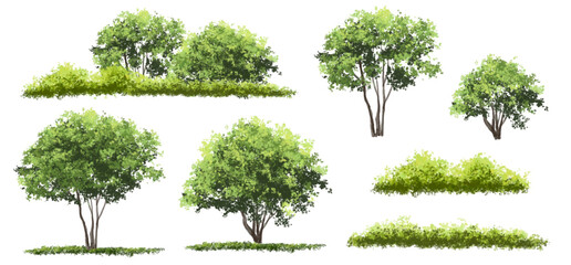  Vector watercolor green  tree or forest side view isolated on white background for landscape and architecture drawing,elements for environment or and garden,Shrub for section